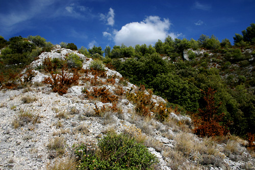 Contrastes naturels en Provence, photo pascal lando