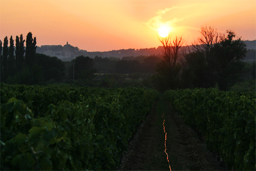 Couch de soleil en Provence, photo pascal lando