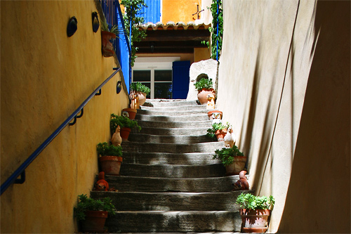 Joli jardinnet en Provence, photo pascal lando