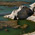 photo de provence, lac du paty