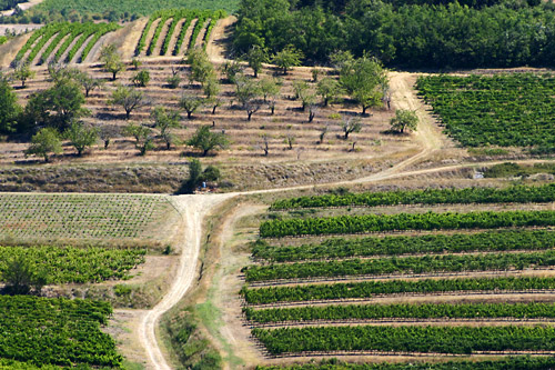 La culture en Provence, photo pascal lando